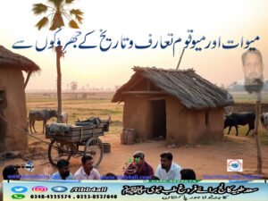 میوات اور میو قو م تعارف وتاریخ کے جھروکوں سے