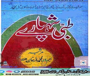 طینی شہپائے