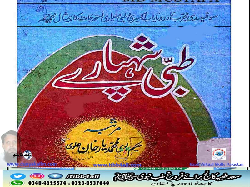 طینی شہپائے