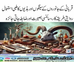 قربانی کےجانوروں کے سینگوں اور ہڈیوں کا طبی استعمال