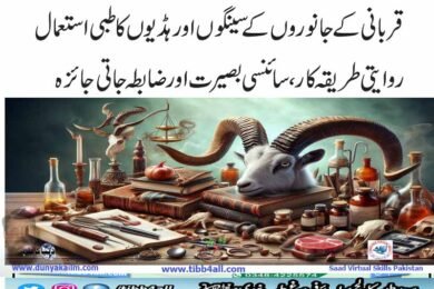 قربانی کےجانوروں کے سینگوں اور ہڈیوں کا طبی استعمال