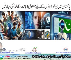 پاکستان میں میو نوجوانوں کے لیے مصنوعی ذہانت (AI) کی مہارتیں