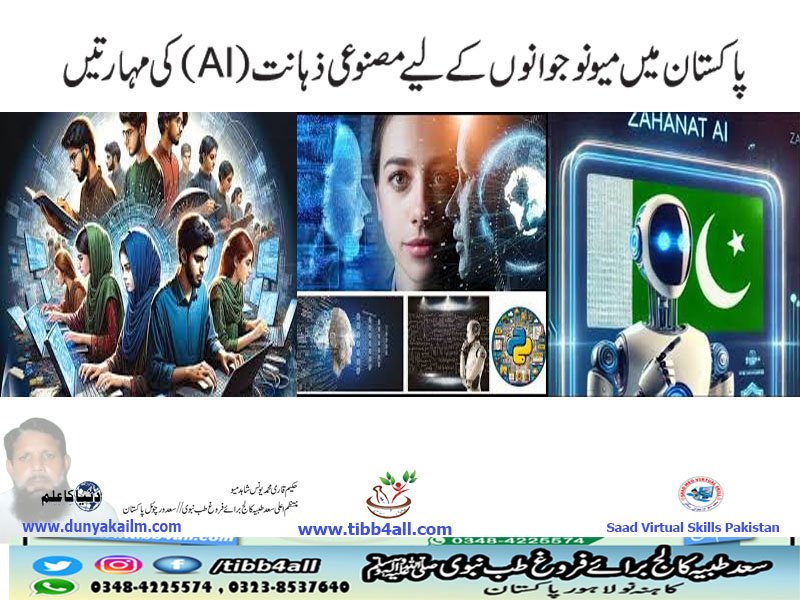 پاکستان میں میو نوجوانوں کے لیے مصنوعی ذہانت (AI) کی مہارتیں