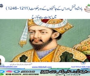 بادشاہالتمش اور اس کے جانشینوں کا میو قوم سے تنازع