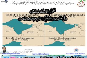 دہلی سلطنت اور میو قوم کی داستانِ مزاحمت و مفاہمت
