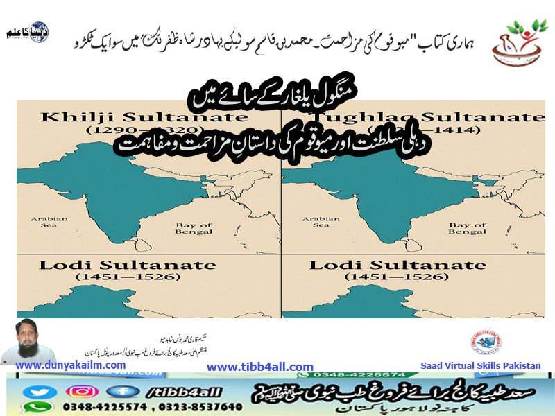 دہلی سلطنت اور میو قوم کی داستانِ مزاحمت و مفاہمت
