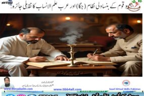 میو قوم کے بنساولی نظام (جگا) اور عرب علم الانساب