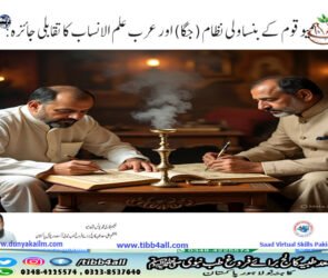 میو قوم کے بنساولی نظام (جگا) اور عرب علم الانساب