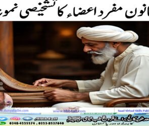 قانون مفرد اعضاء کا تشخیصی نمونہ