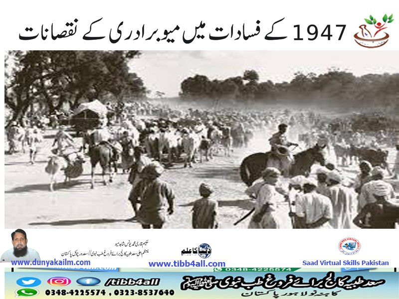 ۔1947 کے فسادات میں میو برادری کے نقصانات