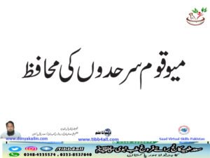 میو قوم ۔ سرحدوںکی محافظ