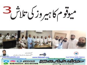 میوقوم کا ہیروز کی تلاش3