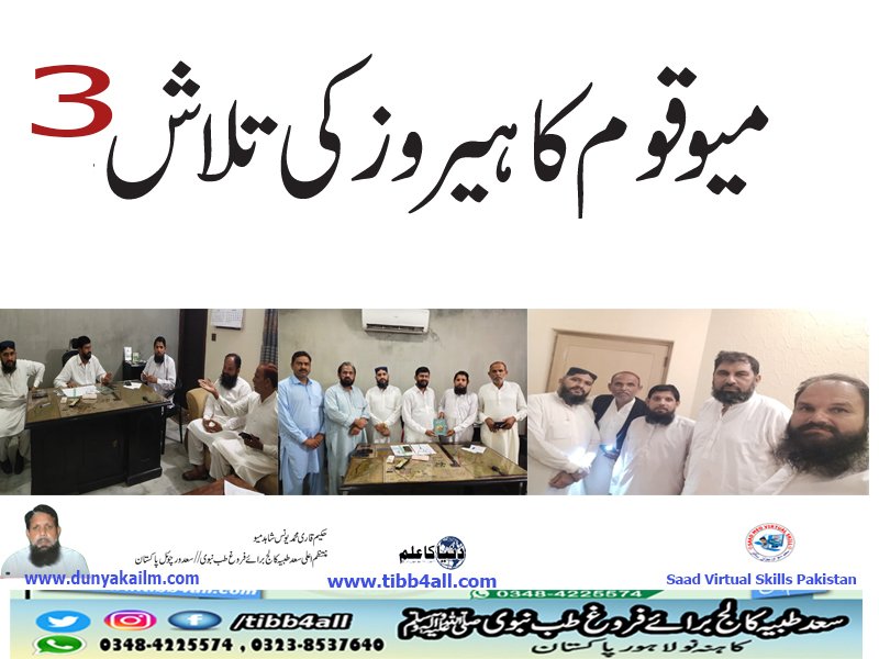 میوقوم کا ہیروز کی تلاش3