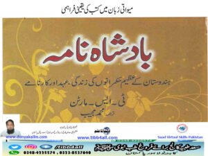 بادشاہ نامہ