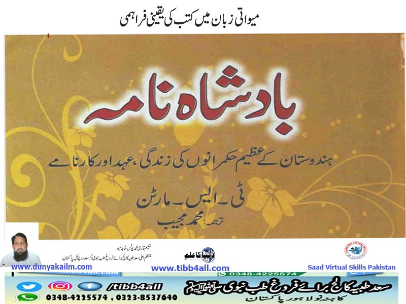 بادشاہ نامہ