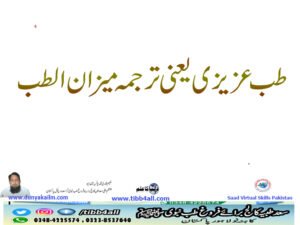 طب عزیزی یعنی ترجمہ میزان الطب