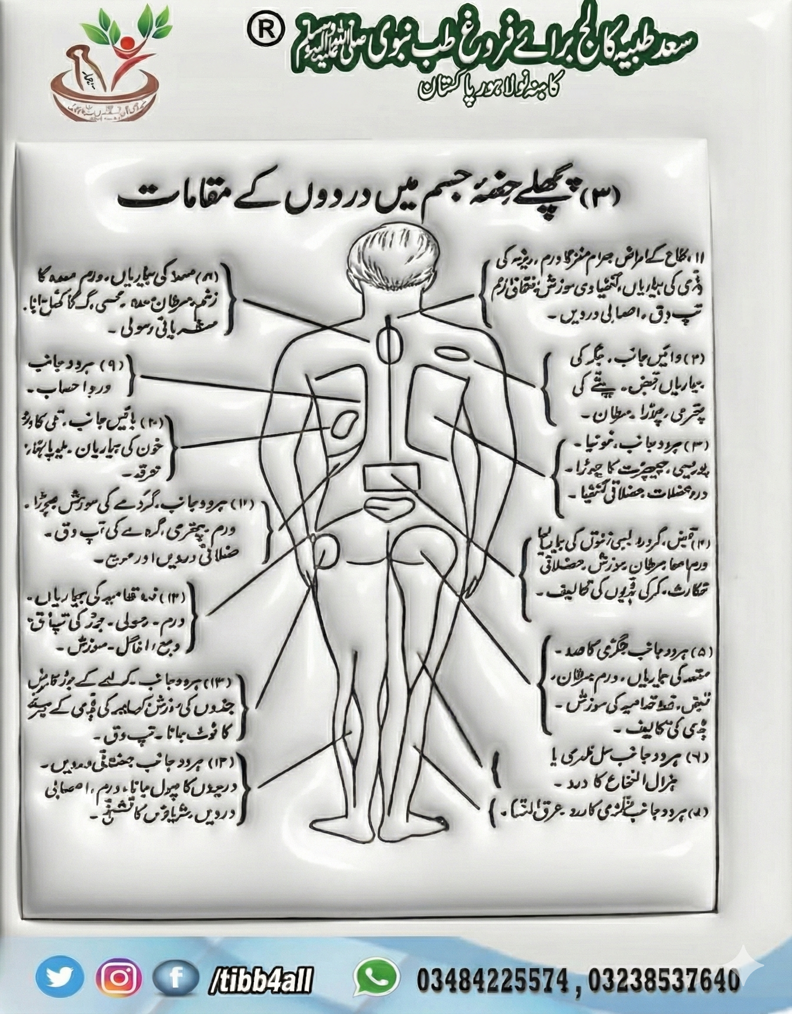 قانونِ مفرد اعضا اور حجامہ کا تعارف