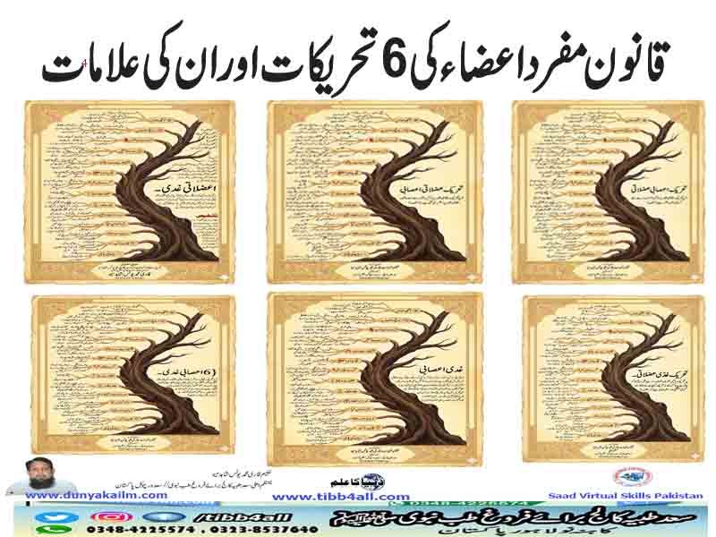 قانون مفرد اعضاء کی حریکات اور ان کی علامات