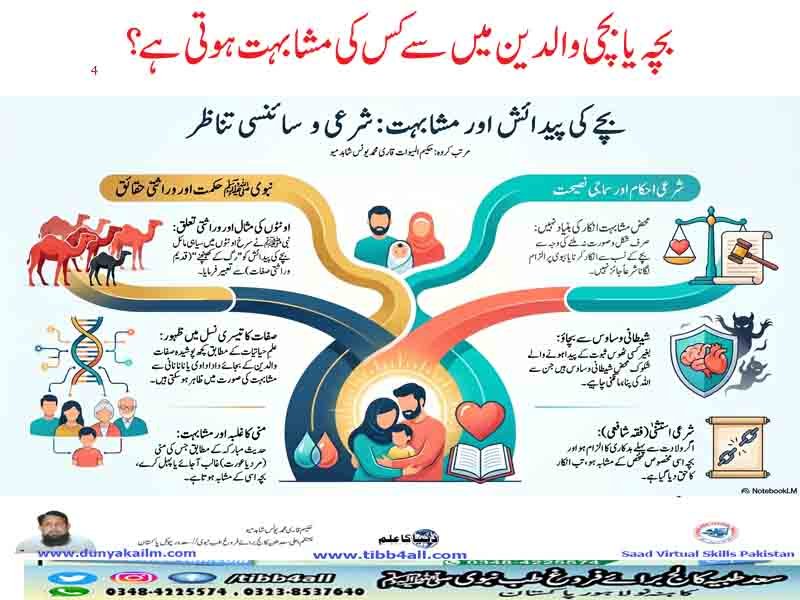 بچہ یا بچی والدین میں سے کس کی مشابہت ہوتی ہے؟
