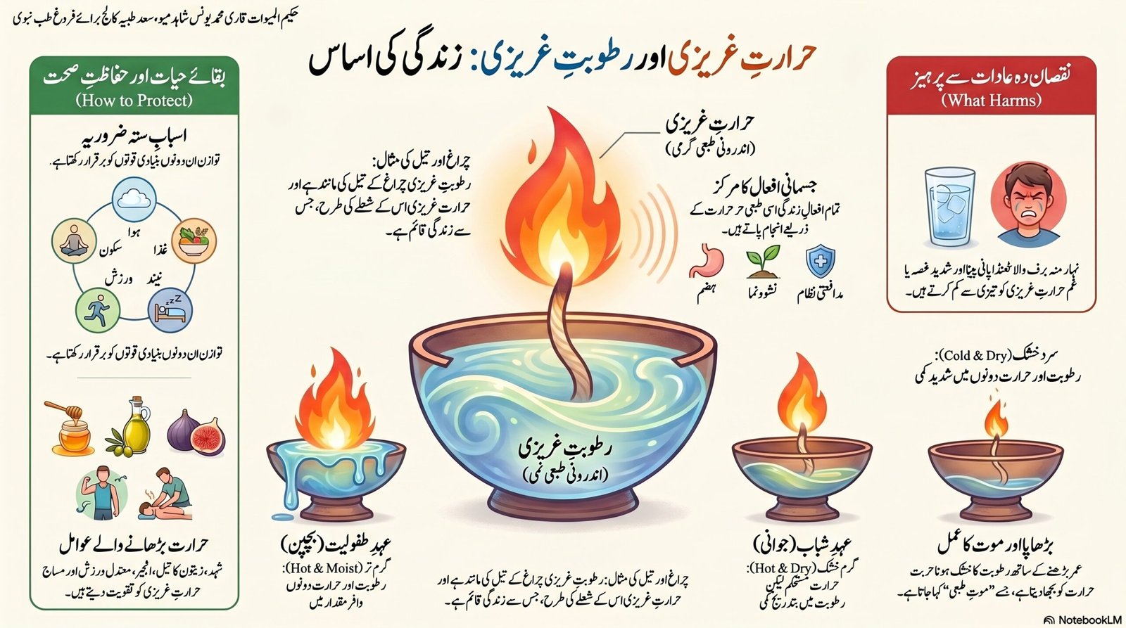 انسانی صحت اور زندگی کی بنیادیں