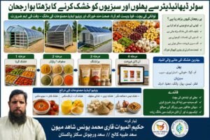 خشک پھل اور سبزیاں قدرت کا انمول تحفہ۔وقت کی ضرورت