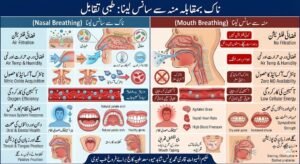 ناک ہمارے جسم کا پہرہ داری نظام، اس کا جسمانی کردار اور سائنسی و طبی افادیت