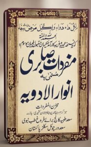 مفردات صابری